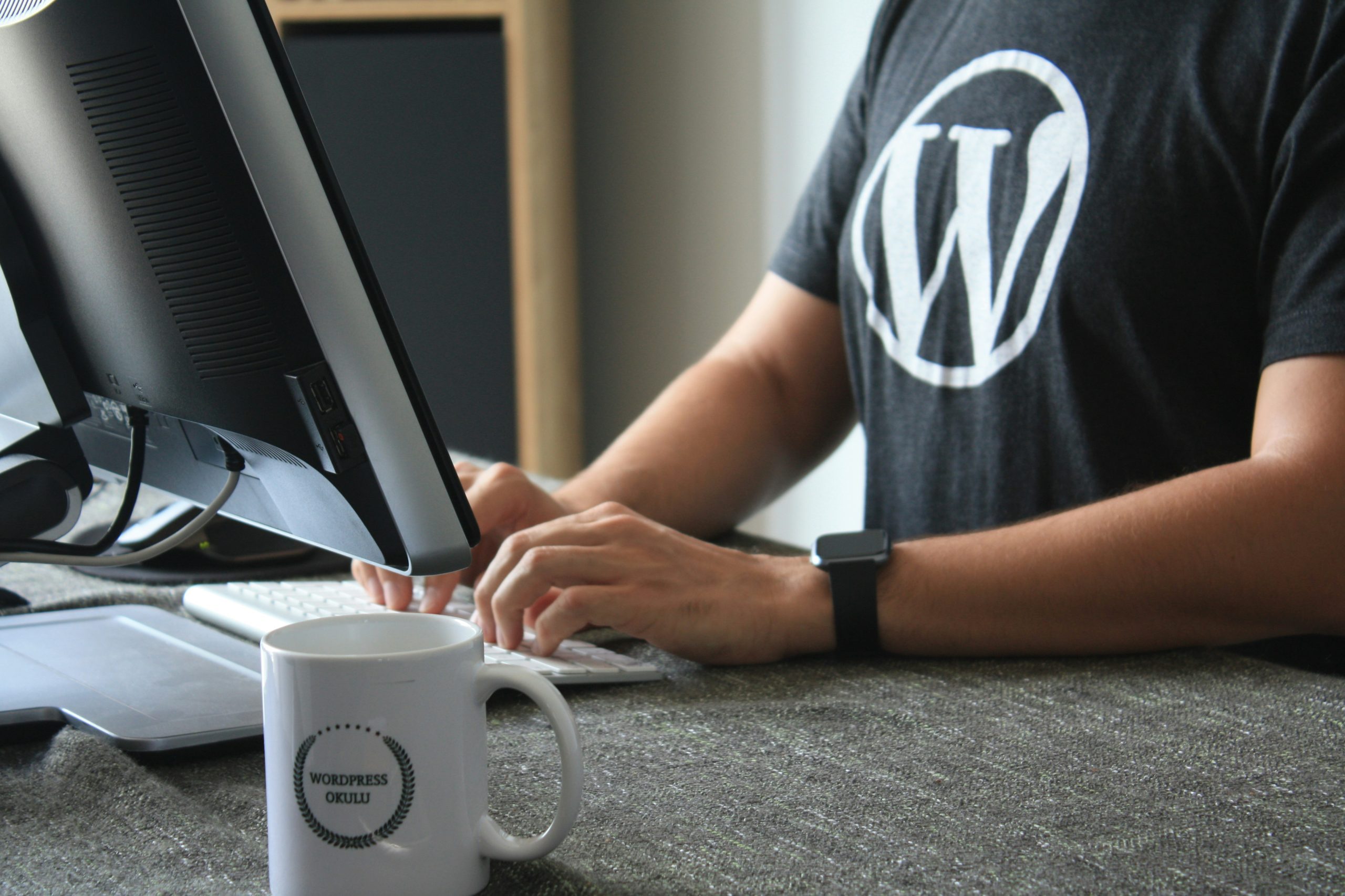 turnuphosting fastest wordpress hosting
